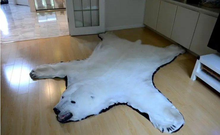 世界上最保暖的皮毛 —— 北极熊