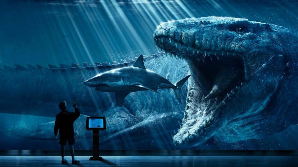 世界上最大的鲨鱼王图片
