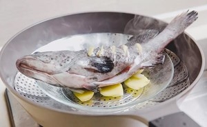 清蒸石斑鱼是什么地方的菜系（清蒸石斑鱼的做法，）